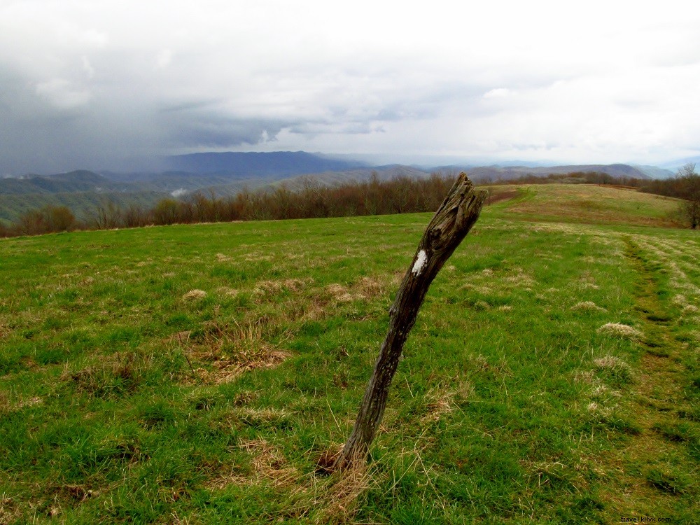 Top 10 Best Hikes on the Appalachian Trail in Virginia