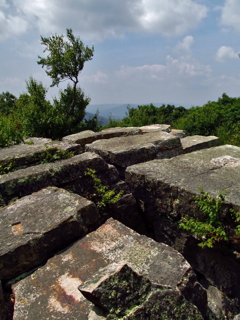 Top 10 Best Hikes on the Appalachian Trail in Virginia