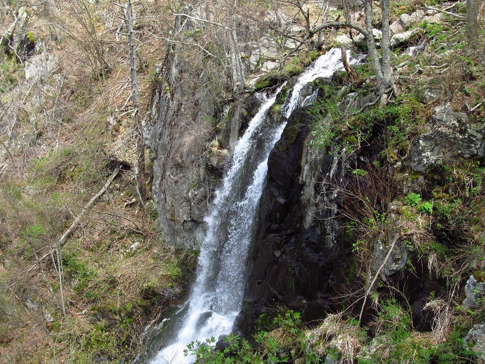 Top 10 Best Hikes on the Appalachian Trail in Virginia