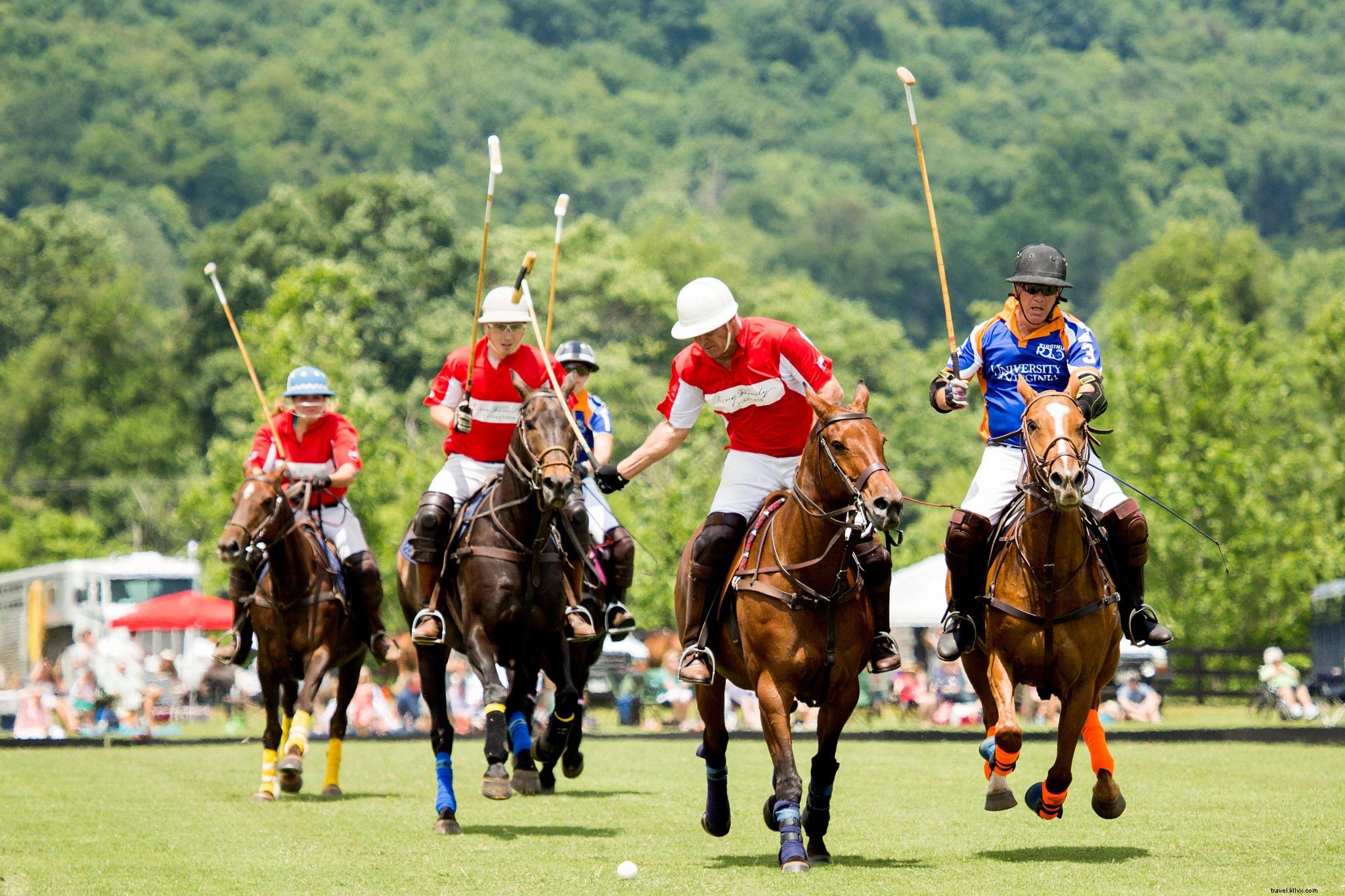 Top Things to Do Near Shenandoah National Park s 4 Entrances: Dining, Stays & Adventures