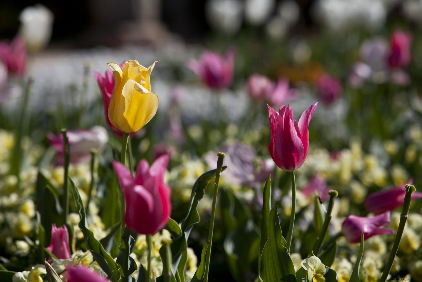 17 Top Warm Weather Activities in Virginia: Embrace Spring Outdoors