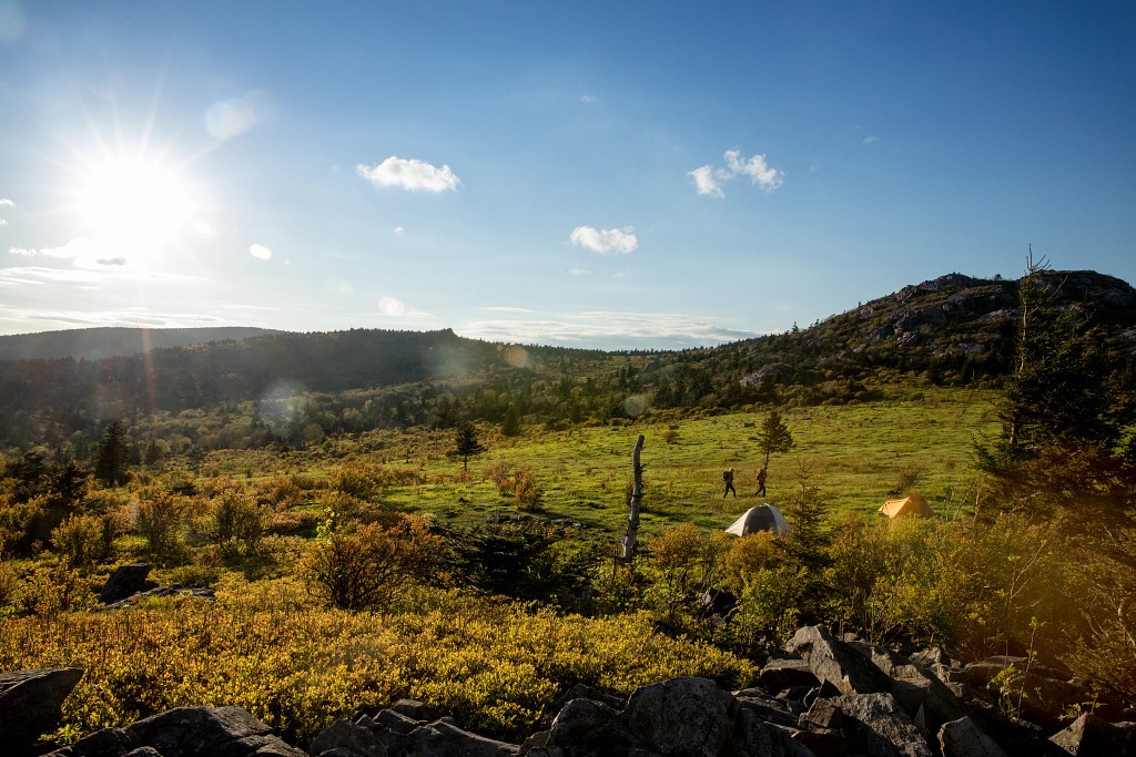 16 Exceptional Camping Spots in Virginia: Primitive, Historic, and Pet-Friendly Gems