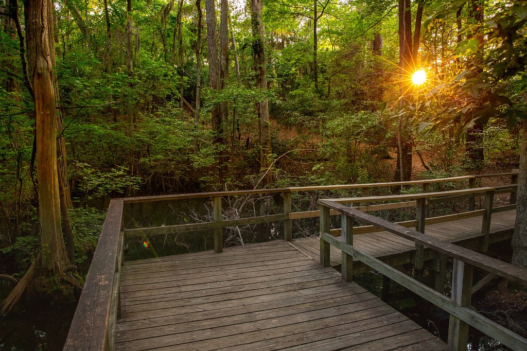 16 Exceptional Camping Spots in Virginia: Primitive, Historic, and Pet-Friendly Gems