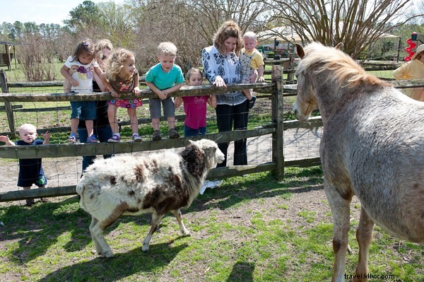 Top Interactive Farm Tours in Virginia: Hands-On Animal Encounters and Agritourism Adventures
