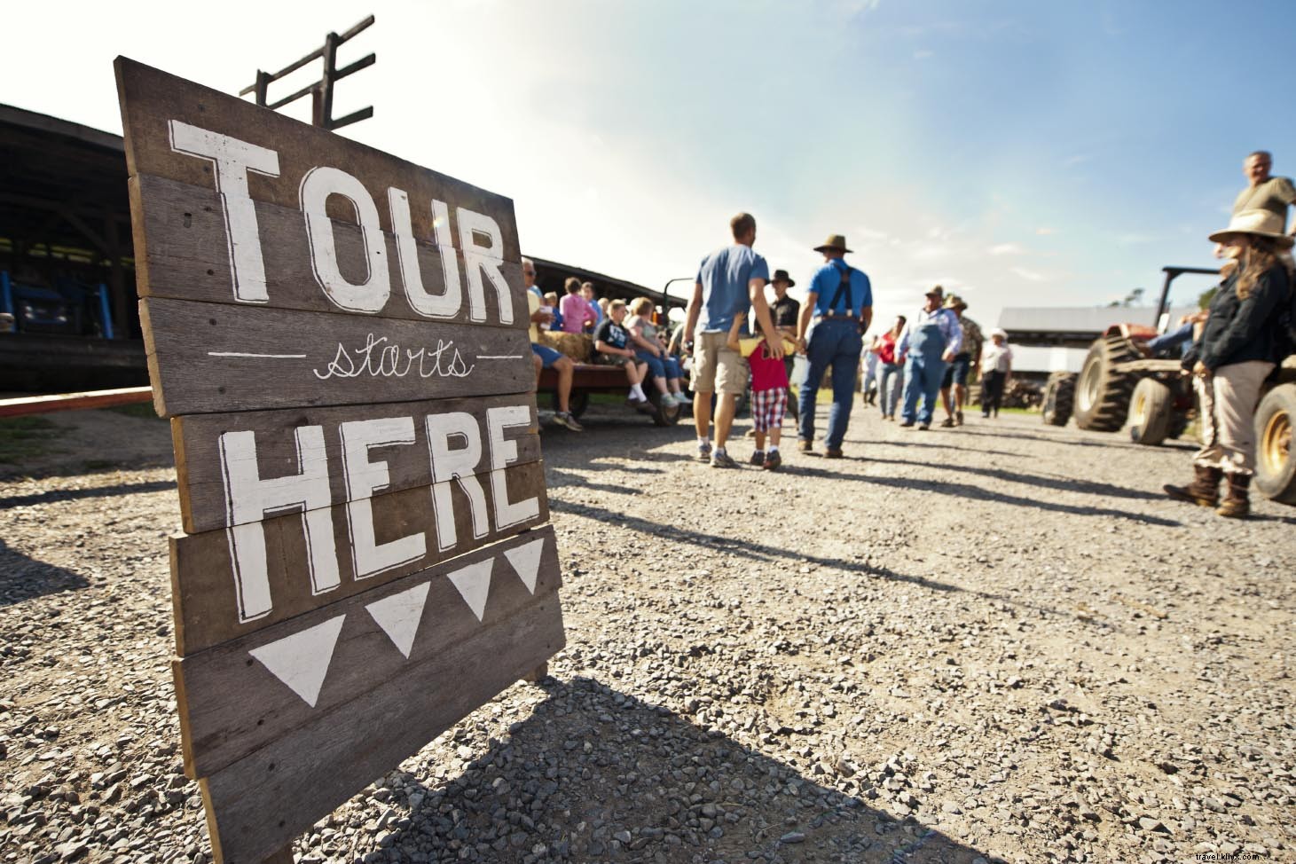 Top Interactive Farm Tours in Virginia: Hands-On Animal Encounters and Agritourism Adventures