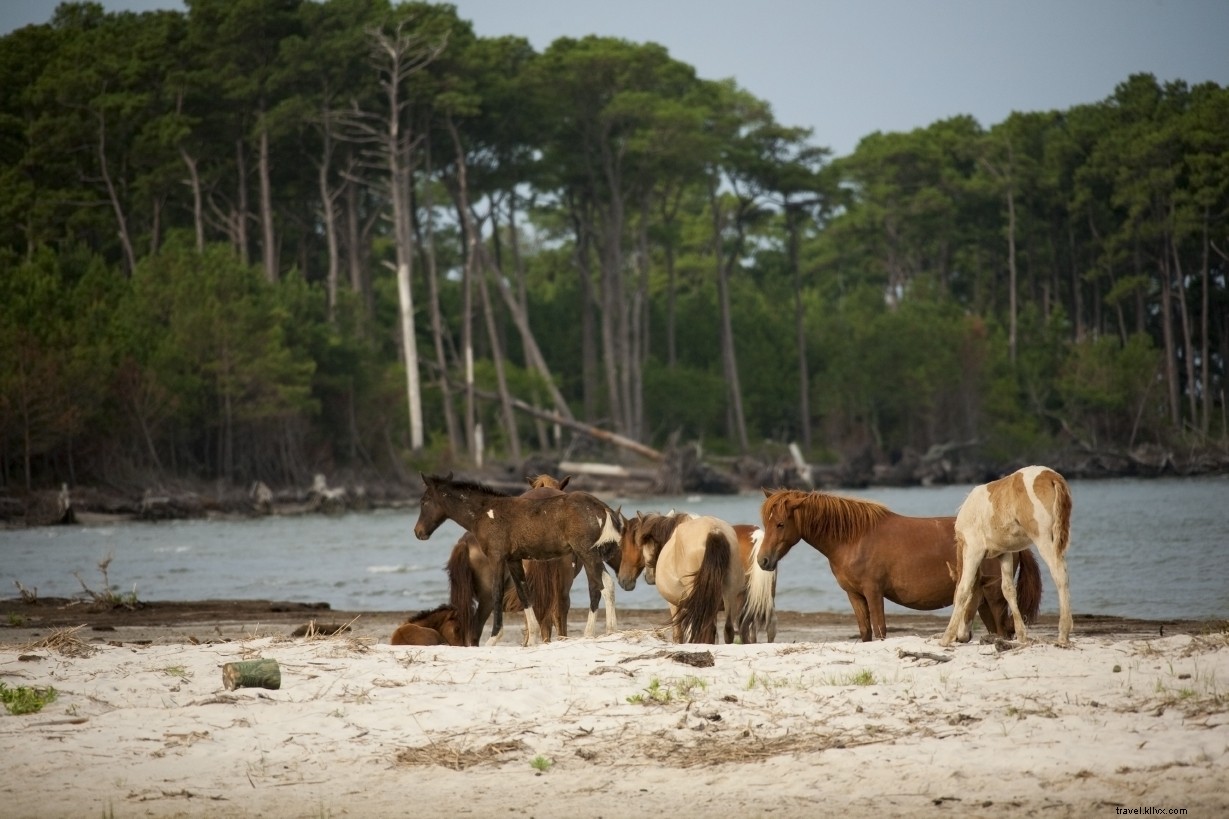2024 Free Entrance Days at Virginia National Parks