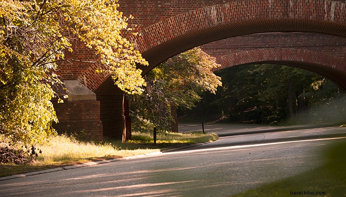 4 Must-See Scenic Coastal Drives in Virginia This Fall