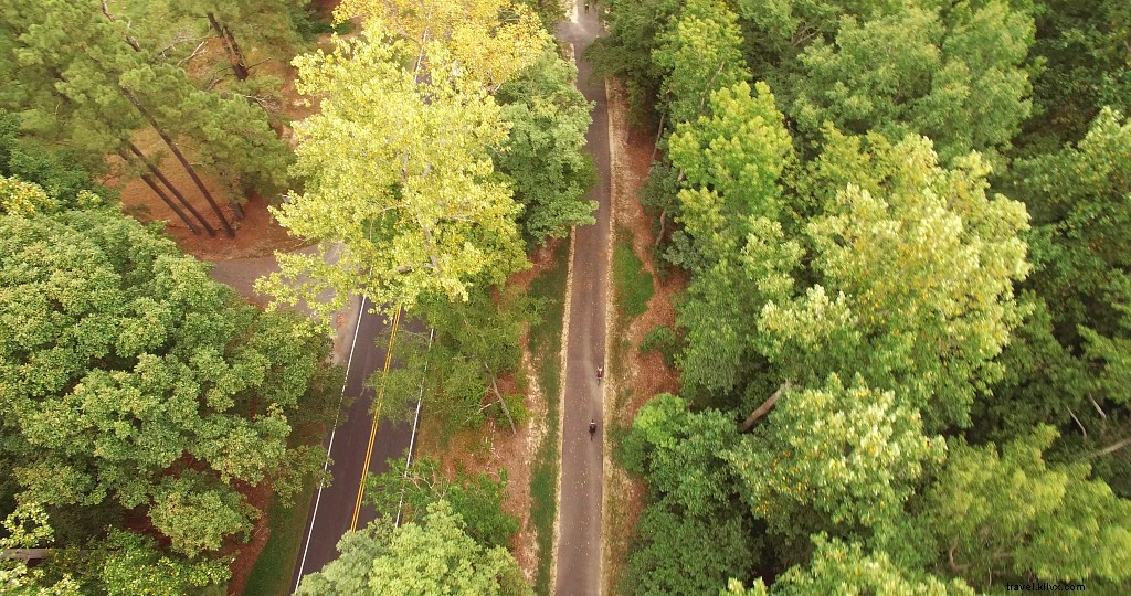 4 Must-See Scenic Coastal Drives in Virginia This Fall