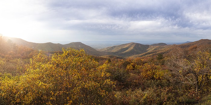 Ultimate Fall Foliage Road Trip: Skyline Drive and Blue Ridge Parkway in Virginia