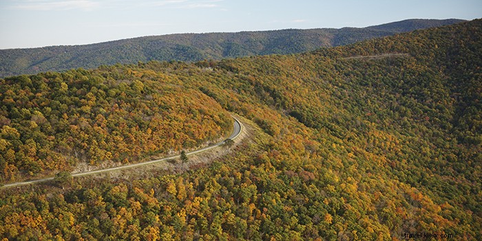 Ultimate Fall Foliage Road Trip: Skyline Drive and Blue Ridge Parkway in Virginia