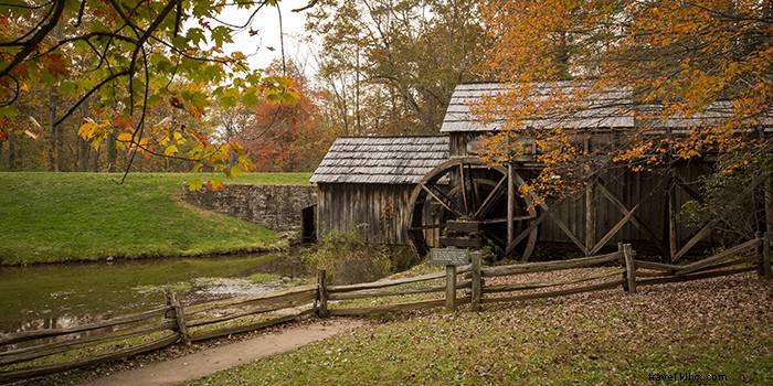 Ultimate Fall Foliage Road Trip: Skyline Drive and Blue Ridge Parkway in Virginia