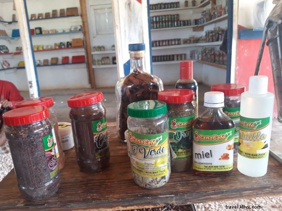 Top 5 Unforgettable Travel Experiences in the Dominican Republic