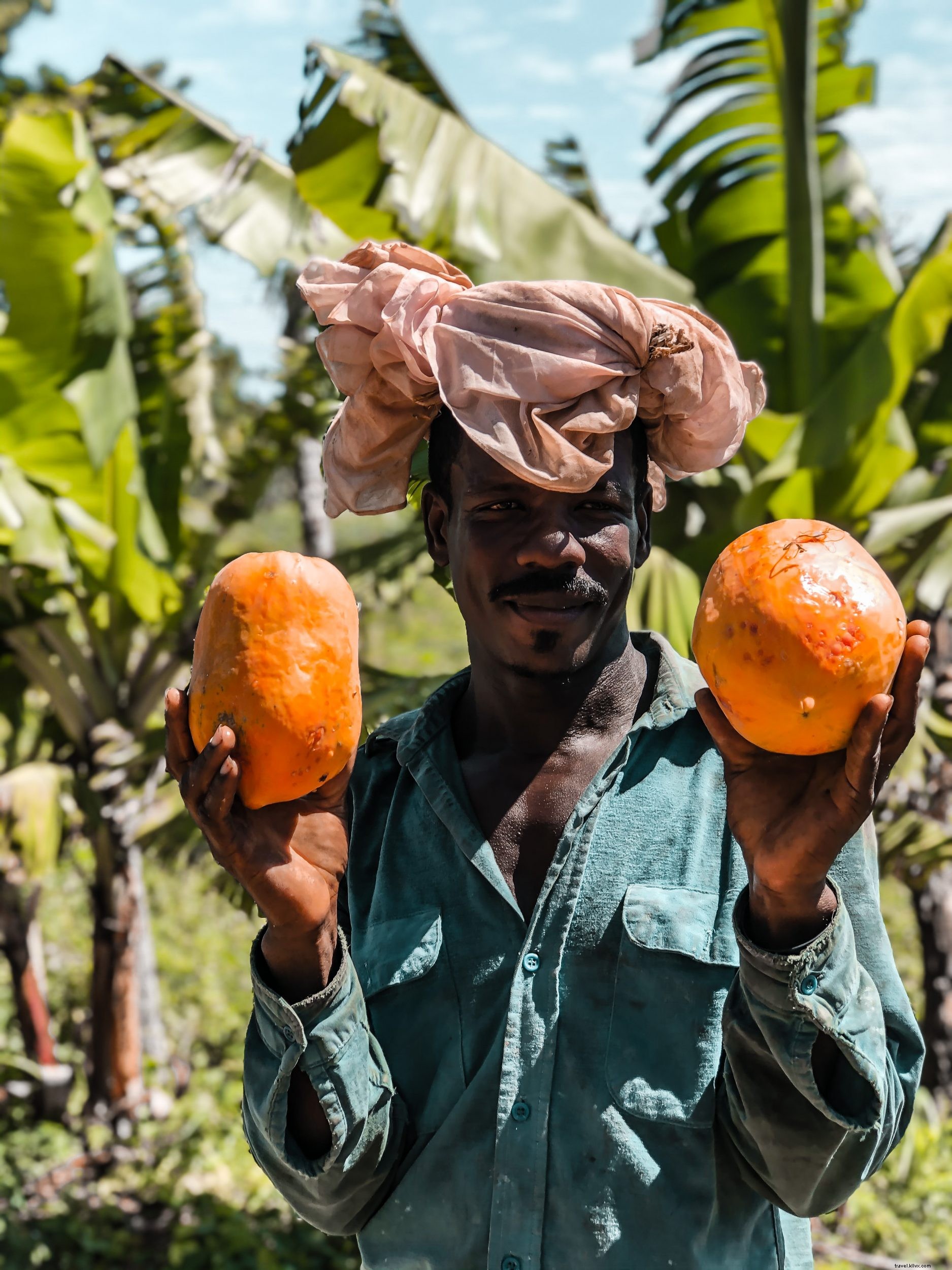 8 Low-Impact, Eco-Friendly Activities in the Dominican Republic