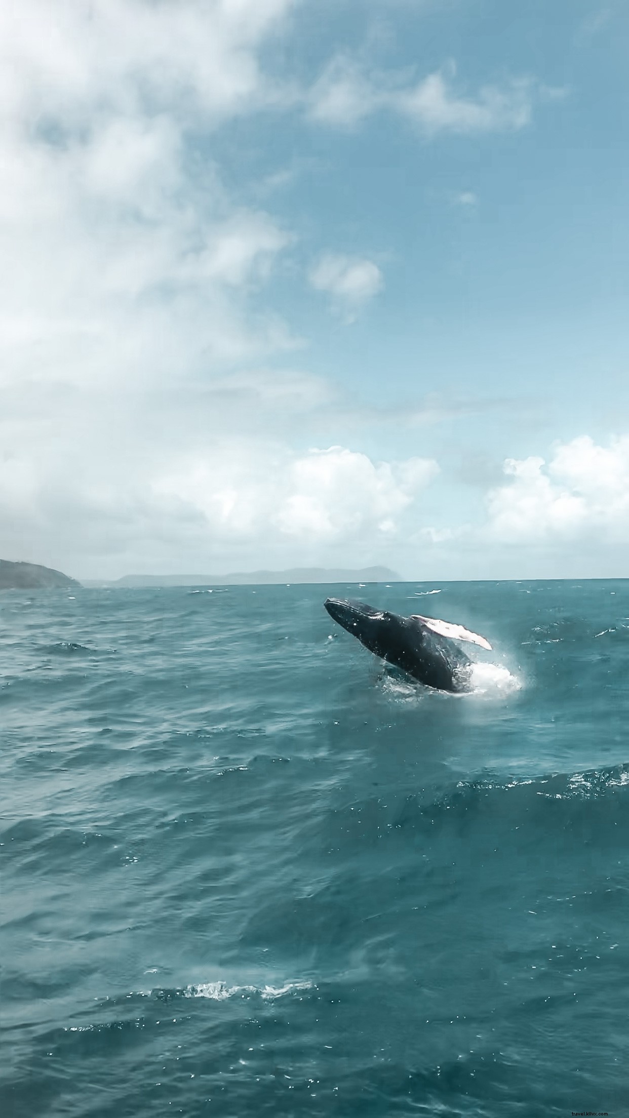 8 Low-Impact, Eco-Friendly Activities in the Dominican Republic