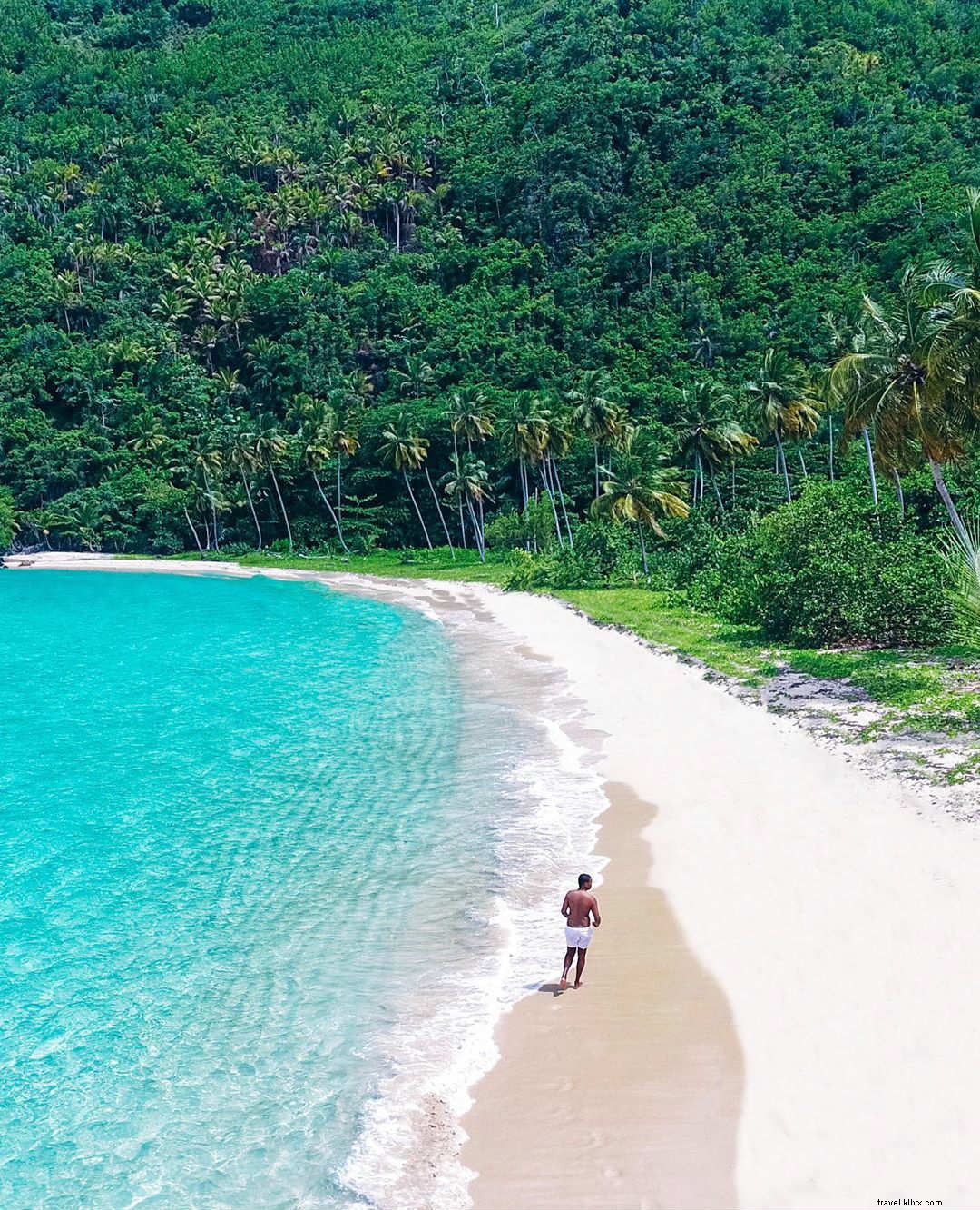 10 Thrilling Adventures in the Dominican Republic: A Local Explorer s Guide