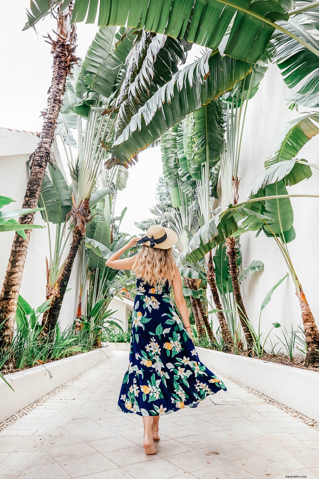 Puerto Plata, Dominican Republic: Captivating Visual and Video Travel Diary