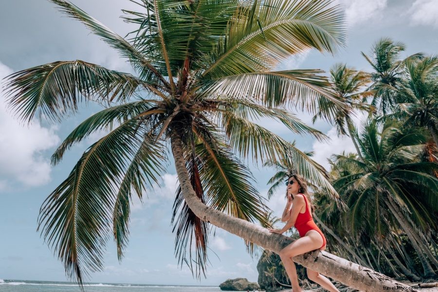 Ultimate 6-Day Bachelorette Itinerary: Dominican Republic s Northern Coast