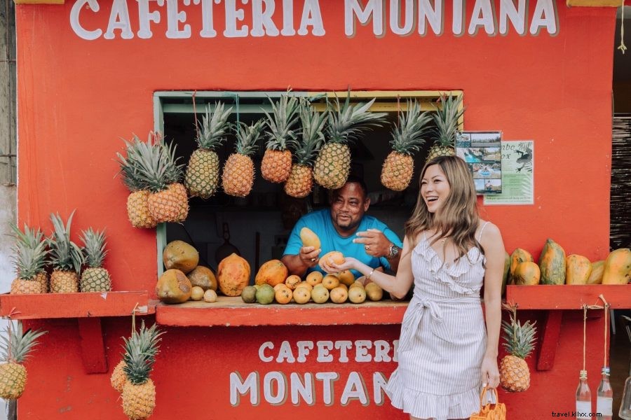 Ultimate 6-Day Bachelorette Itinerary: Dominican Republic s Northern Coast