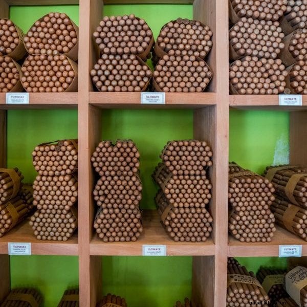 12 Must-Do Activities in the Dominican Republic: Puerto Plata to Santo Domingo Guide