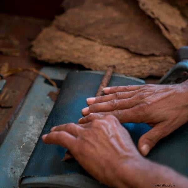 12 Must-Do Activities in the Dominican Republic: Puerto Plata to Santo Domingo Guide