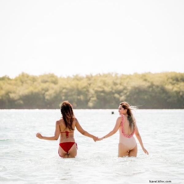 12 Must-Do Activities in the Dominican Republic: Puerto Plata to Santo Domingo Guide