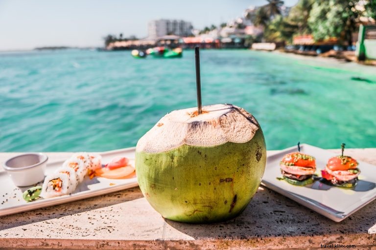 12 Must-Do Activities in the Dominican Republic: Puerto Plata to Santo Domingo Guide