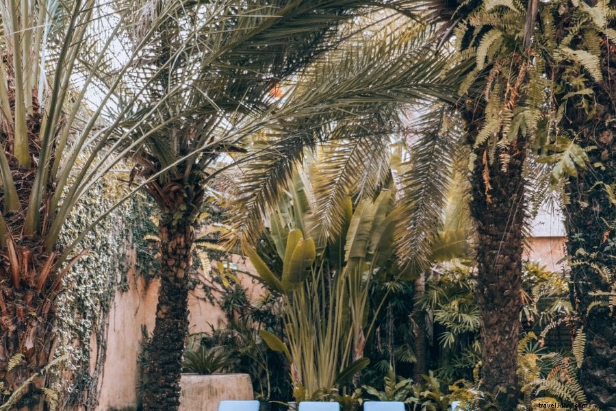 Dominican Republic Travel Guide: Best Hotels, Attractions, Food & 7-Day Itinerary