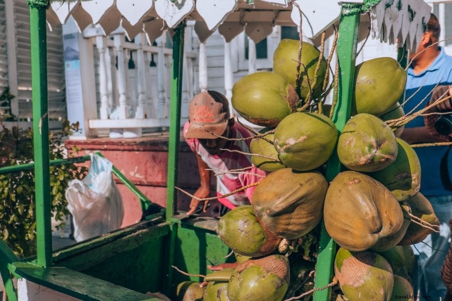 Dominican Republic Travel Guide: Best Hotels, Attractions, Food & 7-Day Itinerary