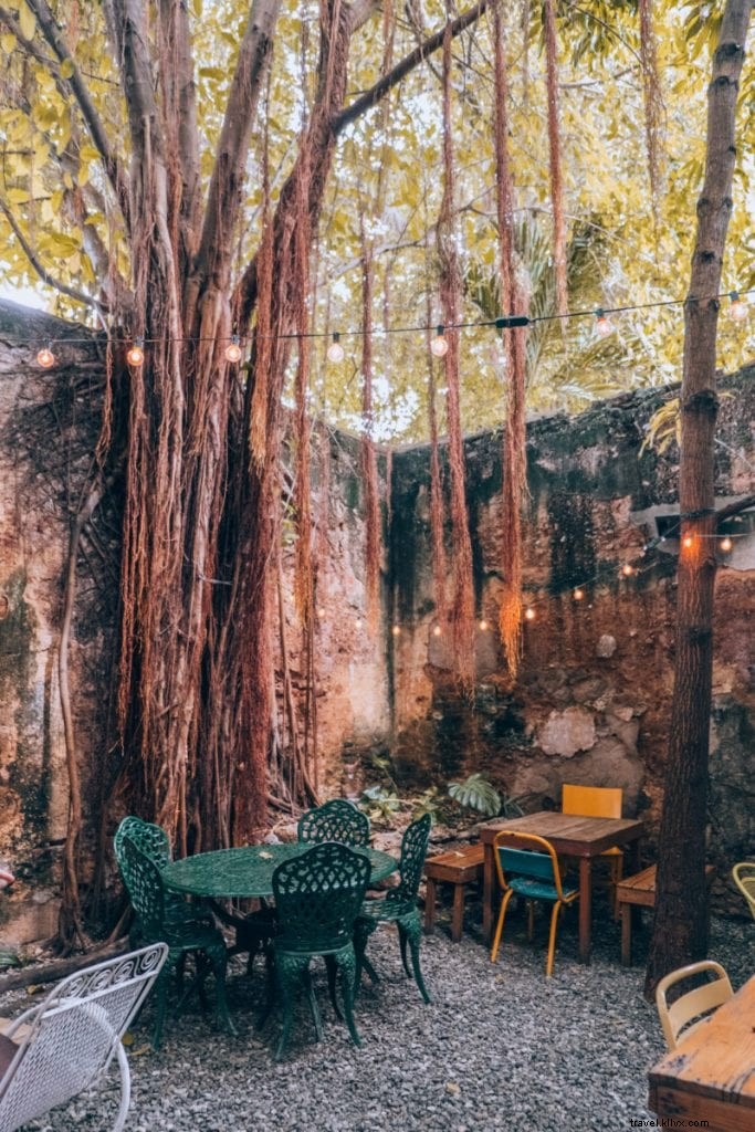 Dominican Republic Travel Guide: Best Hotels, Attractions, Food & 7-Day Itinerary