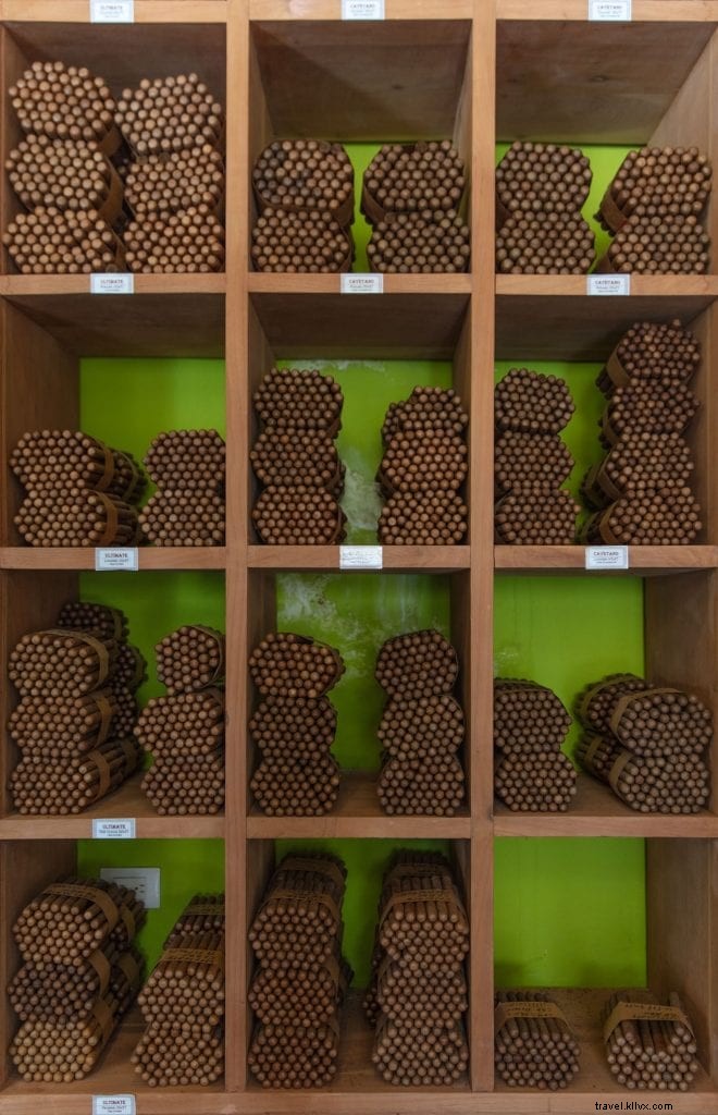 Ultimate Guide: Top Things to Do in Puerto Plata, Dominican Republic