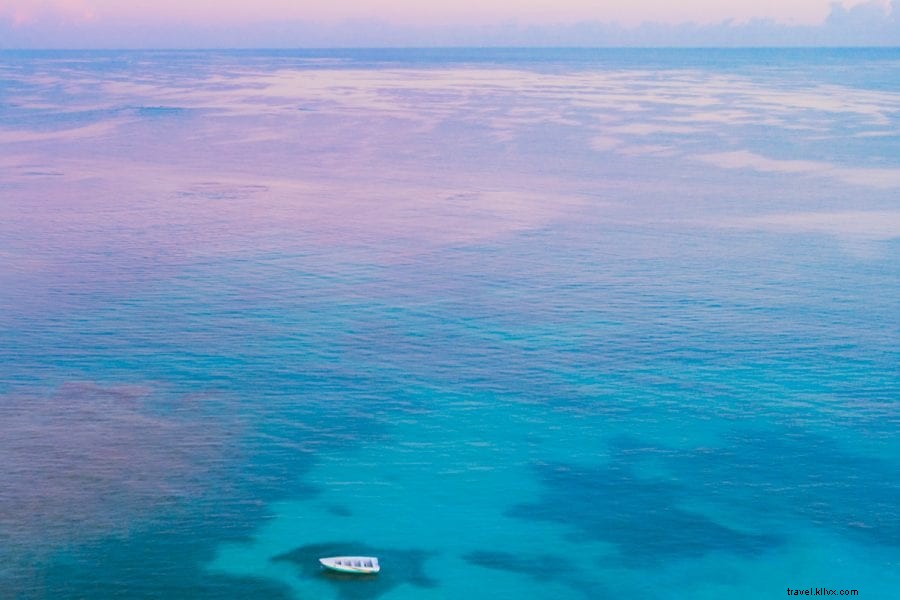 Island in the Sun: Adventures from Jarabacoa Mountains to Punta Rucia Beaches in the Dominican Republic