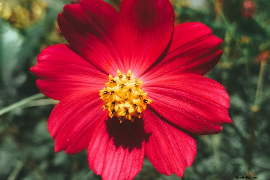 Island in the Sun: Adventures from Jarabacoa Mountains to Punta Rucia Beaches in the Dominican Republic