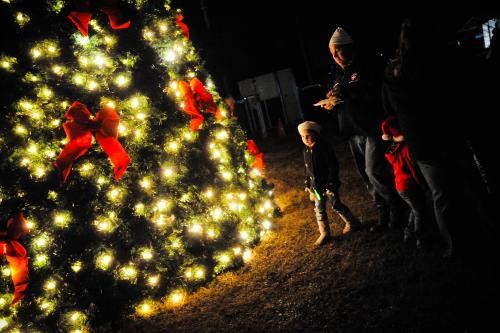Santa Under the Oaks: Enchanting Christmas Event in Sulphur