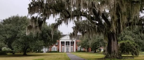 Discover Timeless Luxury and Southern Hospitality at Della Belle Bed & Breakfast