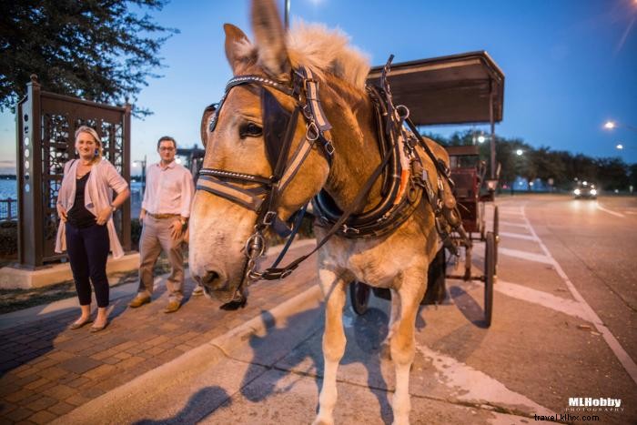 Southwest Louisiana Christmas: The Ultimate A-to-Z Holiday Guide