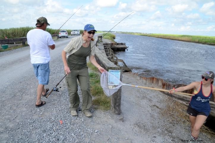 Top 10 Frequently Asked Questions About the Creole Nature Trail All-American Road