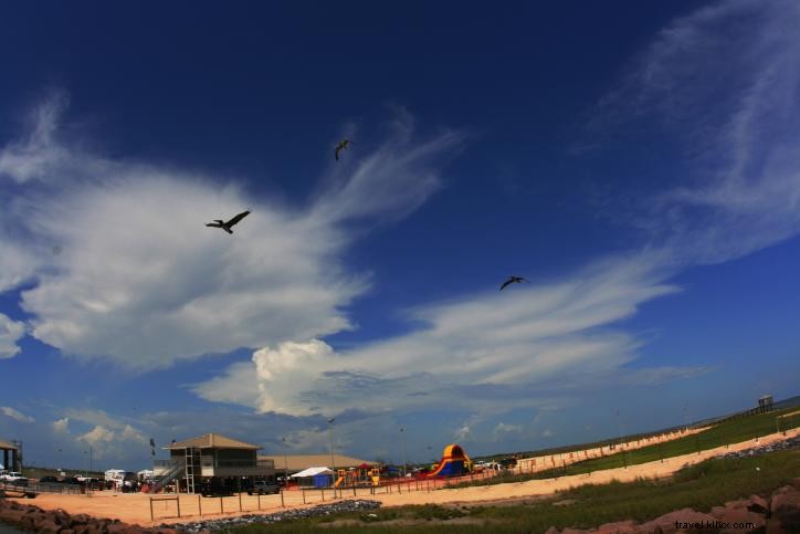 Top 10 Frequently Asked Questions About the Creole Nature Trail All-American Road