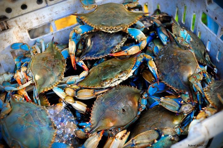 How to Catch Blue Crabs in Southwest Louisiana: Top Spots and Local Tips