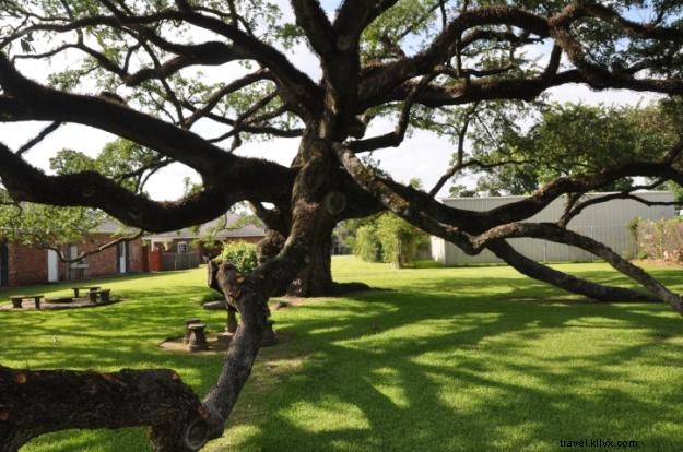 Top 9 Free Activities in Lake Charles, Louisiana