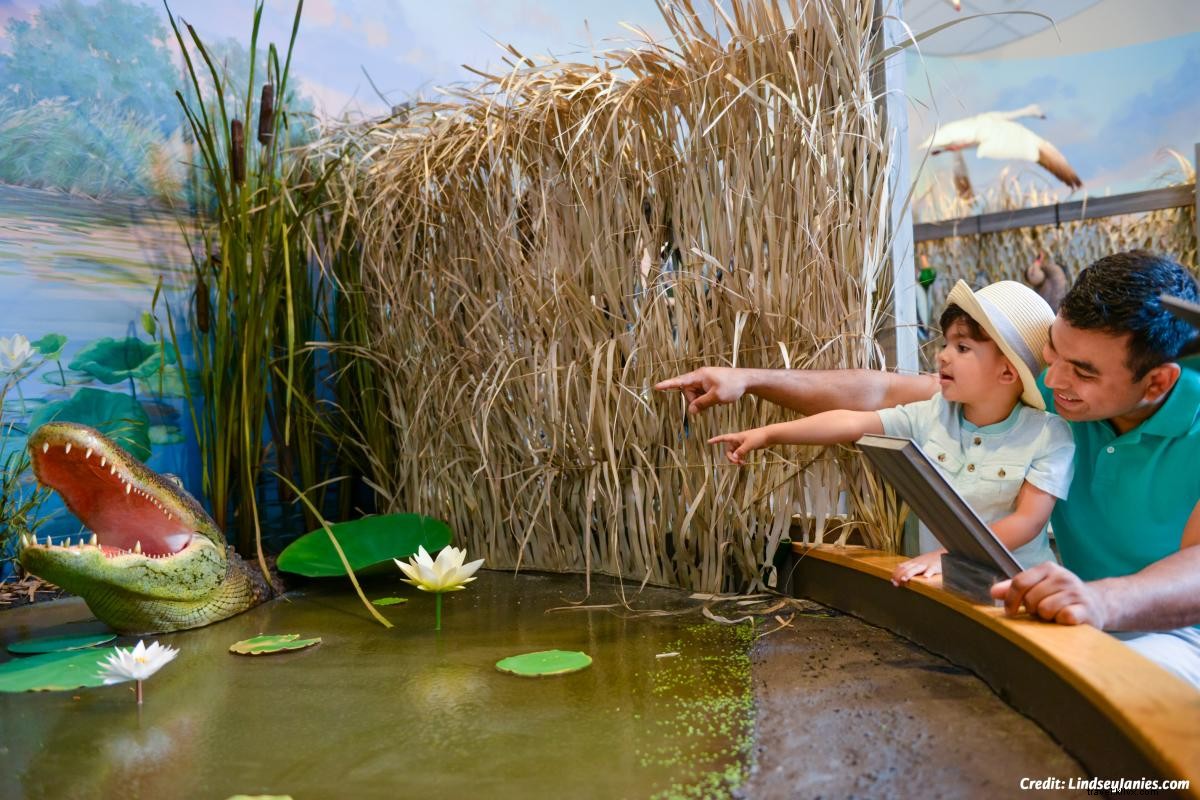 Why Families Choose Southwest Louisiana for an Unforgettable Spring Break