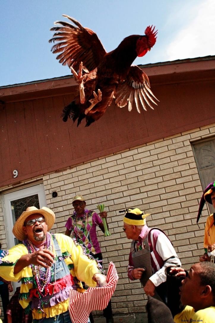 Ultimate Southwest Louisiana Mardi Gras Bucket List: Must-Experience Traditions