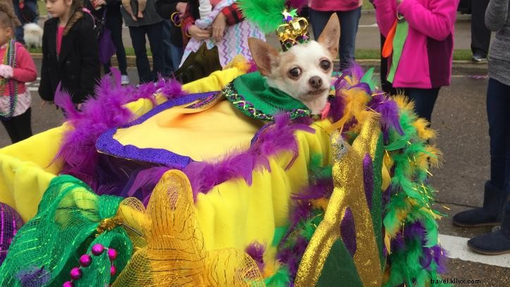 Ultimate Southwest Louisiana Mardi Gras Bucket List: Must-Experience Traditions
