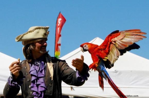 4 Compelling Reasons to Attend the Louisiana Pirate Festival
