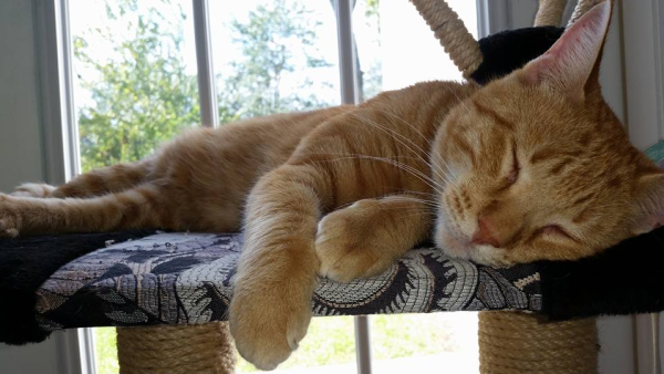 Discover Sulphur s Vibrant Art Scene: 5 Must-Visit Spots