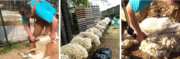 Top Easter Egg Hunts in Lake Charles: Family Fun for Kids and Adults