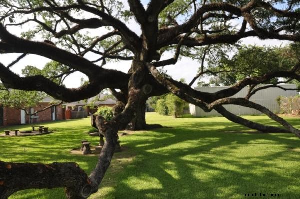 Discover Lake Charles  Vibrant Arts Scene: Galleries, Museums, and Cultural Gems