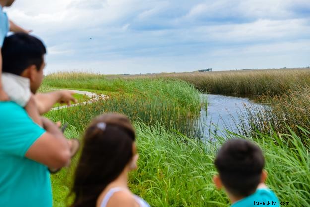 How to Eat Healthy and Stay Fit in Lake Charles: Expert Tips for Visitors