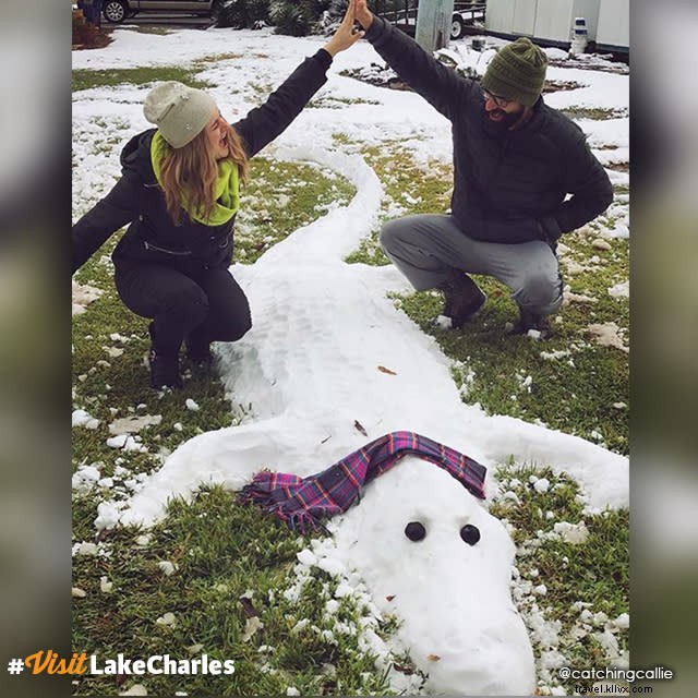 Rare Snow in Louisiana: December Photo of the Month Features Magical Snow Gator