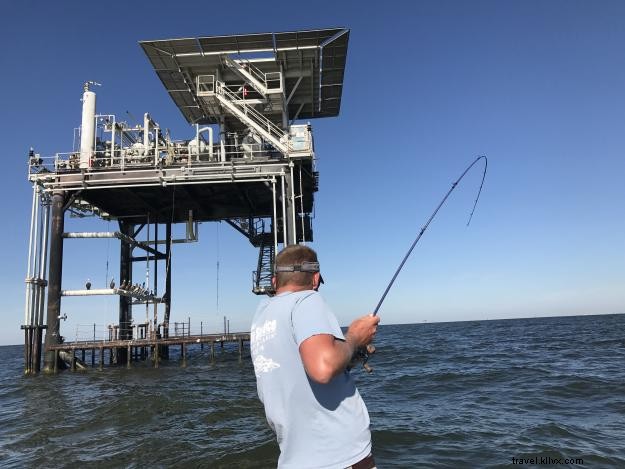 Explore Lake Charles Day Trips: A Local s Guide to Louisiana s Outback