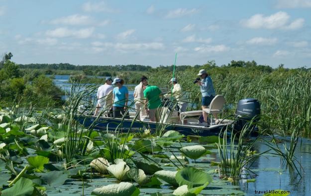 Explore Lake Charles Day Trips: A Local s Guide to Louisiana s Outback